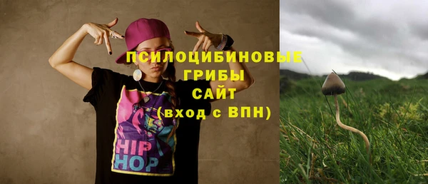 ПСИЛОЦИБИНОВЫЕ ГРИБЫ Вяземский