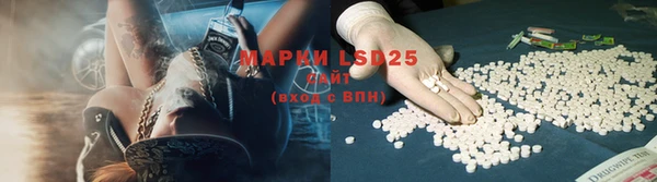 ПСИЛОЦИБИНОВЫЕ ГРИБЫ Вяземский