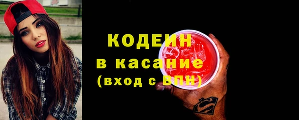 ПСИЛОЦИБИНОВЫЕ ГРИБЫ Вяземский