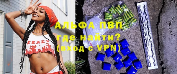 ПСИЛОЦИБИНОВЫЕ ГРИБЫ Вяземский