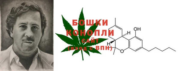 ПСИЛОЦИБИНОВЫЕ ГРИБЫ Вяземский