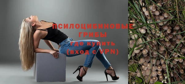 ПСИЛОЦИБИНОВЫЕ ГРИБЫ Вяземский