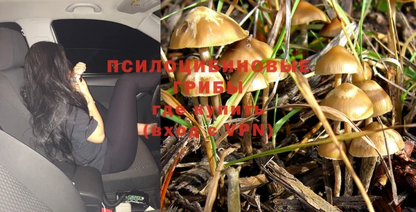 ALPHA PVP Бутурлиновка