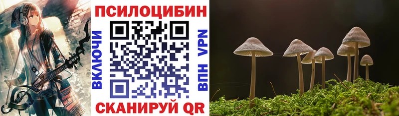 Псилоцибиновые грибы Psilocybine cubensis  Ельня 
