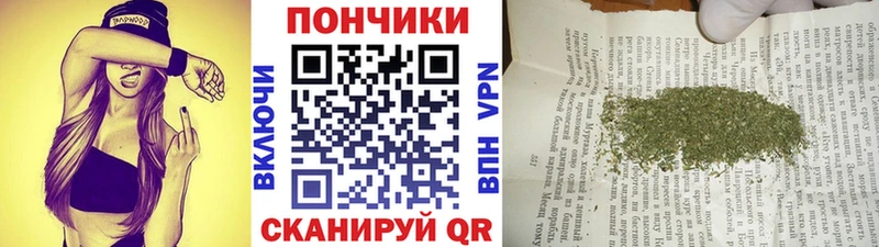 мориарти официальный сайт  Ельня  Каннабис планчик 